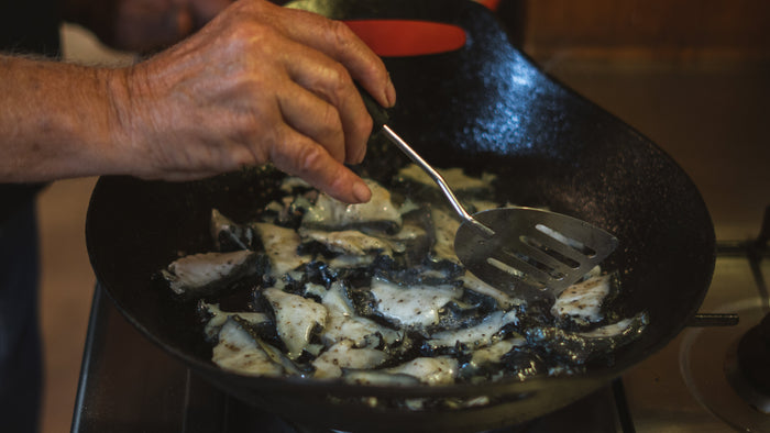 Paua for Beginners: Everything You Need to Know