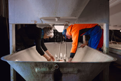 Our Pāua Reseeding Project – A Promise Nearly Twenty Years in the Making