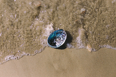 From Ocean to Blue Pearl Jewellery: The Journey of an Arapawa Blue Pearl
