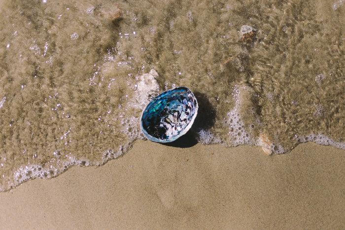 From Ocean to Blue Pearl Jewellery: The Journey of an Arapawa Blue Pearl