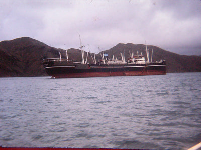 Seasonal Shores: Childhood at the Perano Whaling Station