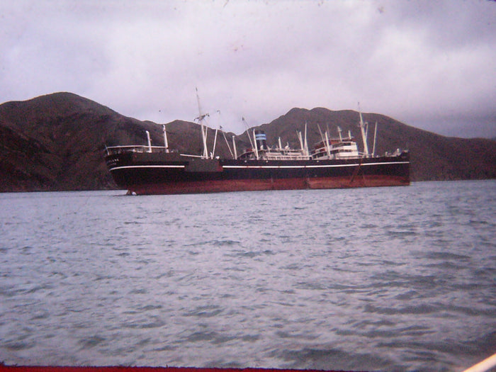 Seasonal Shores: Childhood at the Perano Whaling Station
