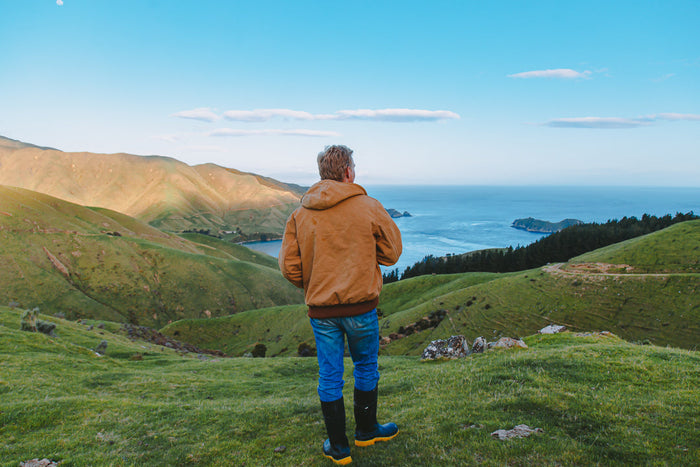 Our Pāua Reseeding Project – A Promise Nearly Twenty Years in the Making