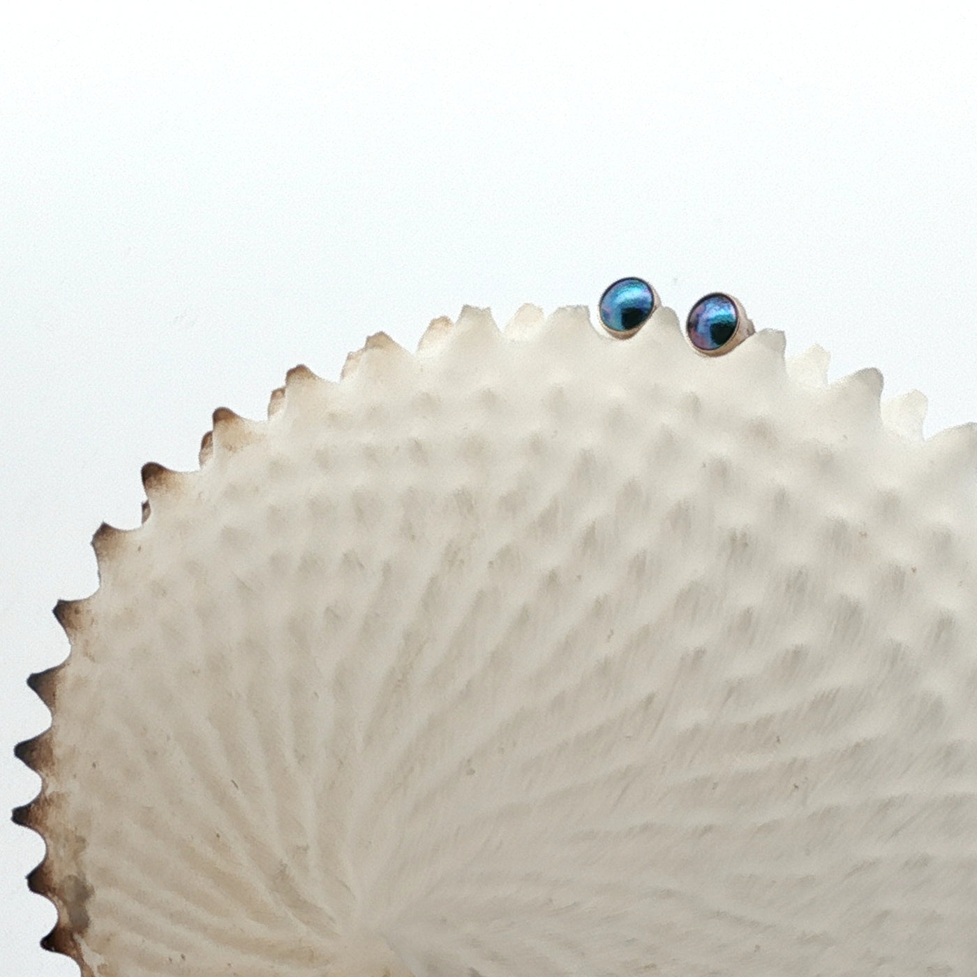 Pearl Stud Earrings - White 18ct