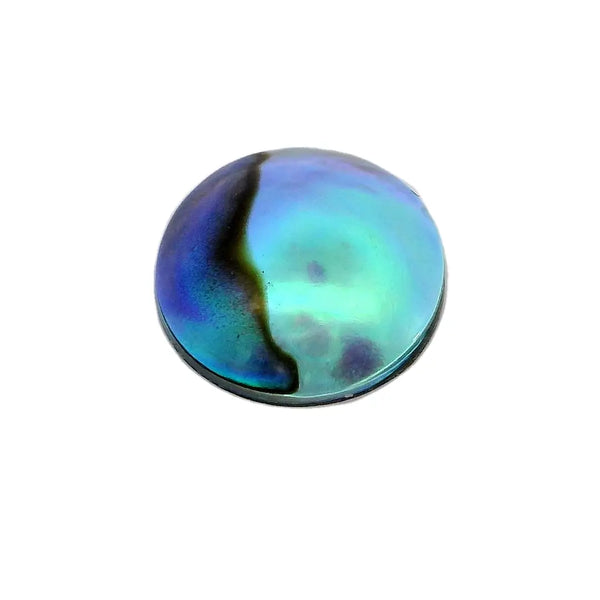 B2 Regular 9.5mm Conchiolin