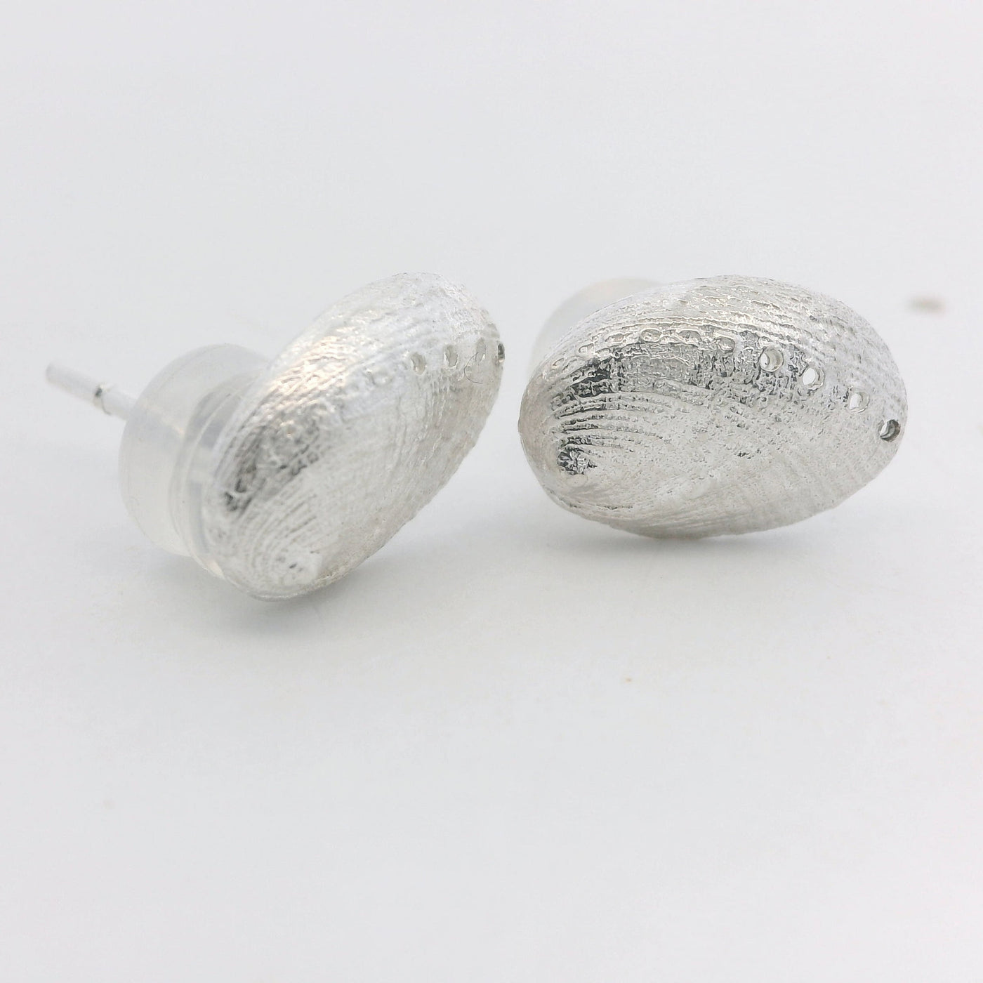 small earrings paua shell