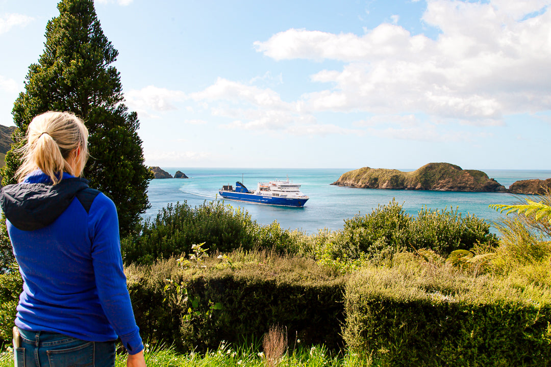 View, ferries entering the cook strait
