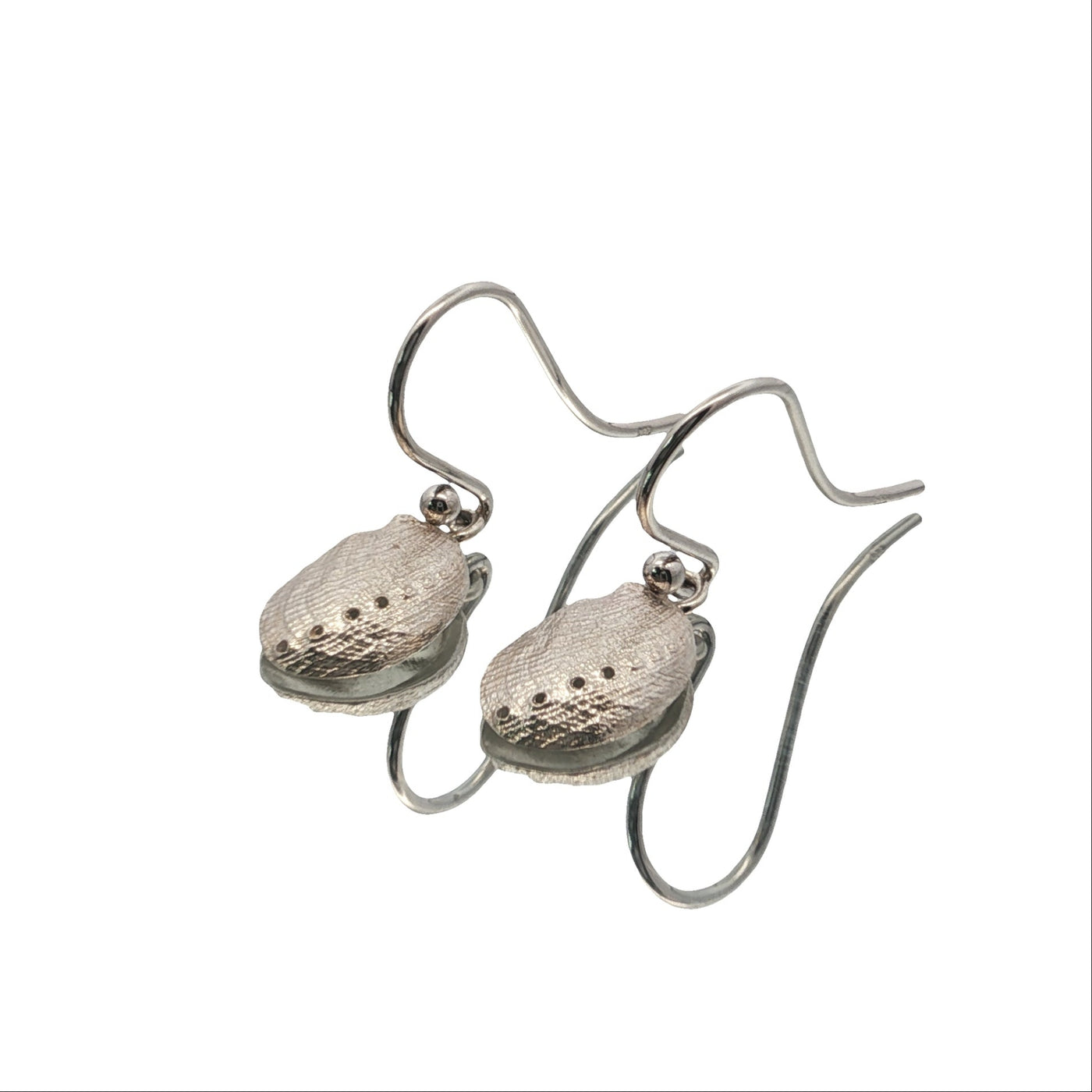 Haliotis Hook Earrings