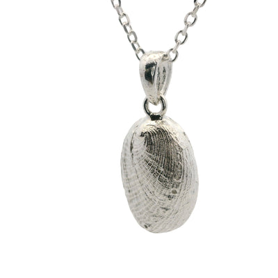 paua shell pendant