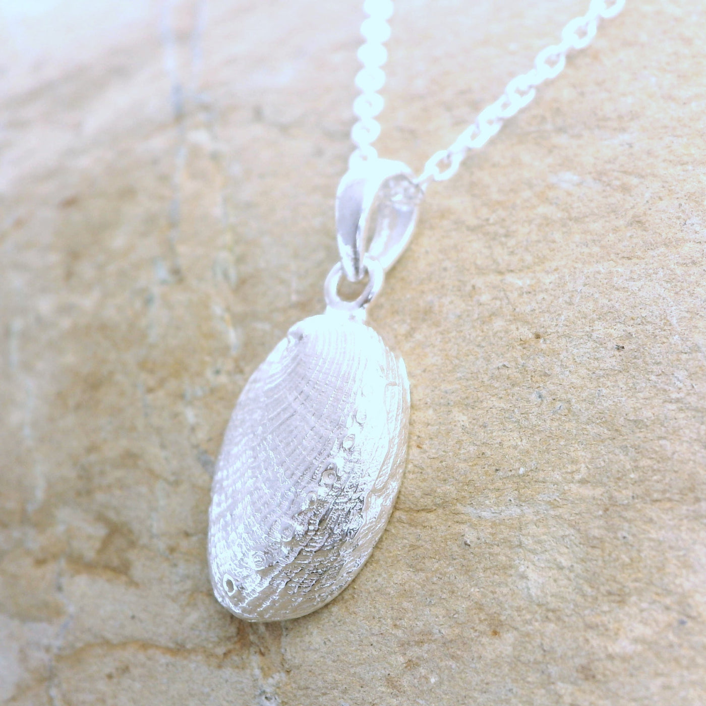 Sterling silver paua shell