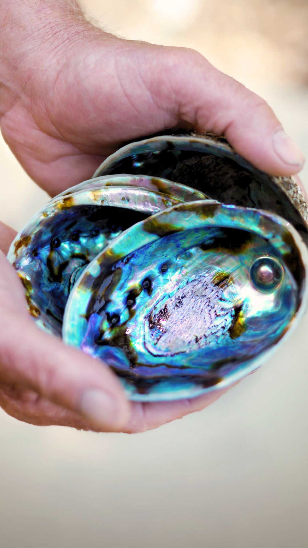 A pearl grown inside