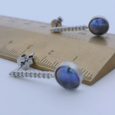 paua earrings new zealand