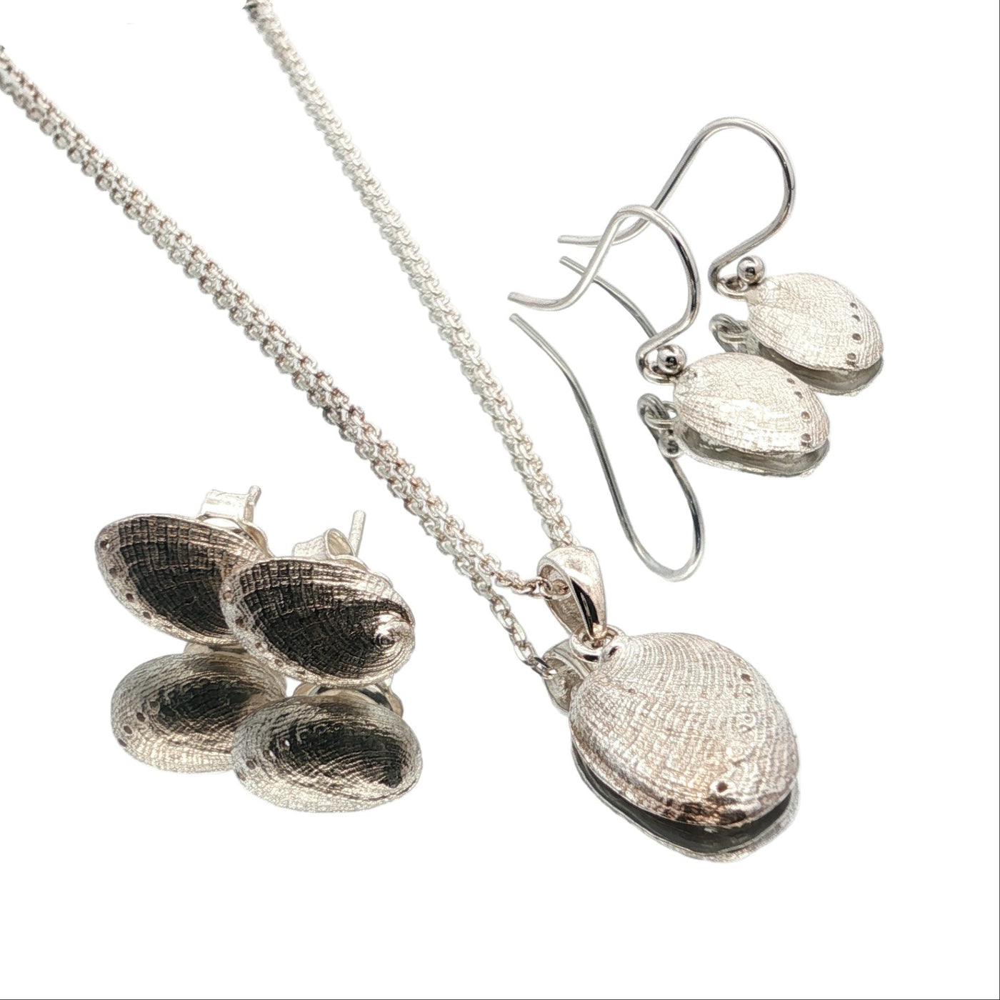 The Haliotis Iris Set
