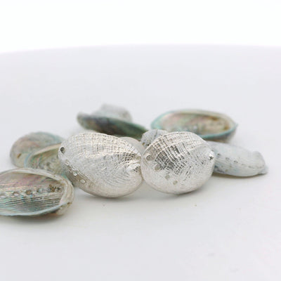 paua silver studs