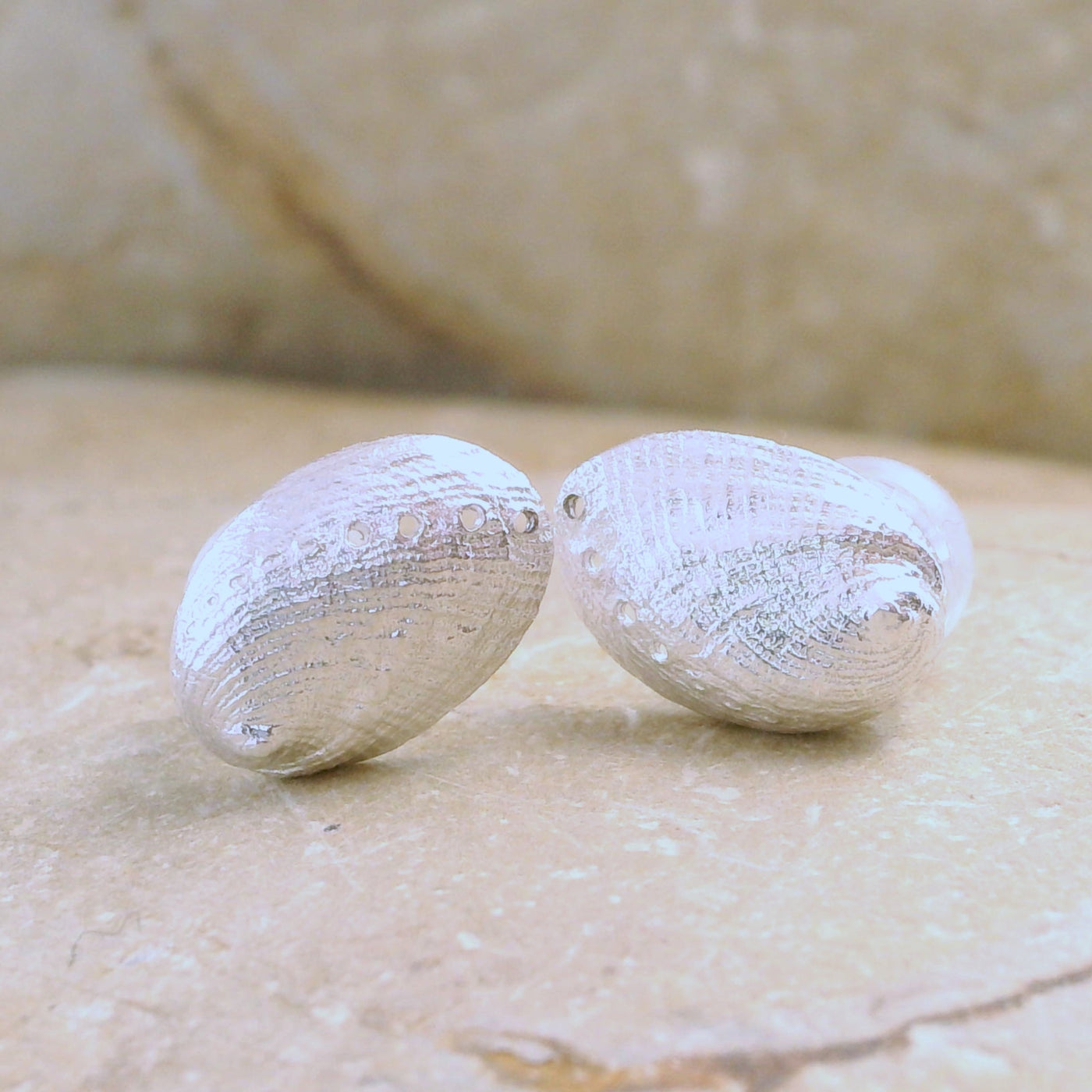 sterling silver paua studs
