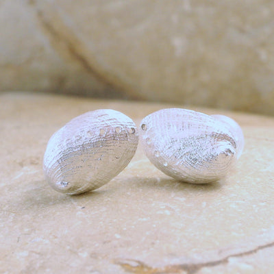 sterling silver paua studs