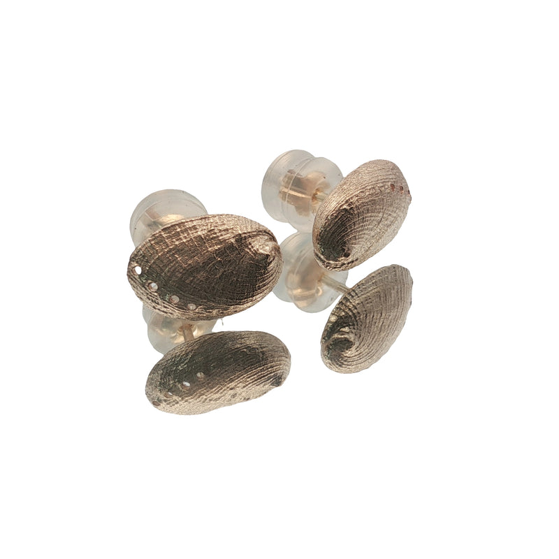 Gold Pāua Haliotis Stud Earrings