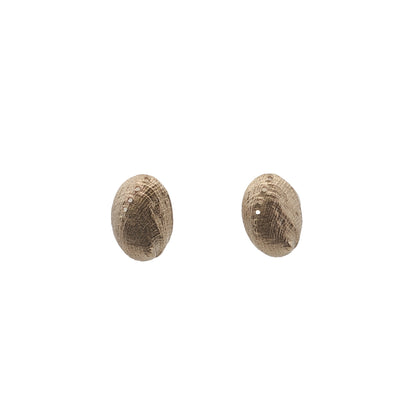 Haliotis Stud Earrings