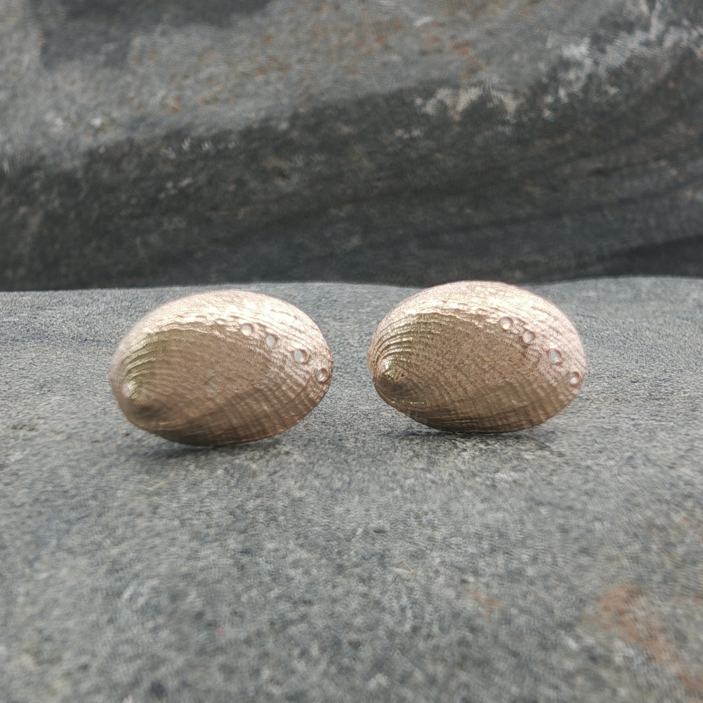 Haliotis Stud Earrings
