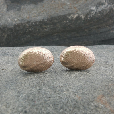 Haliotis Stud Earrings