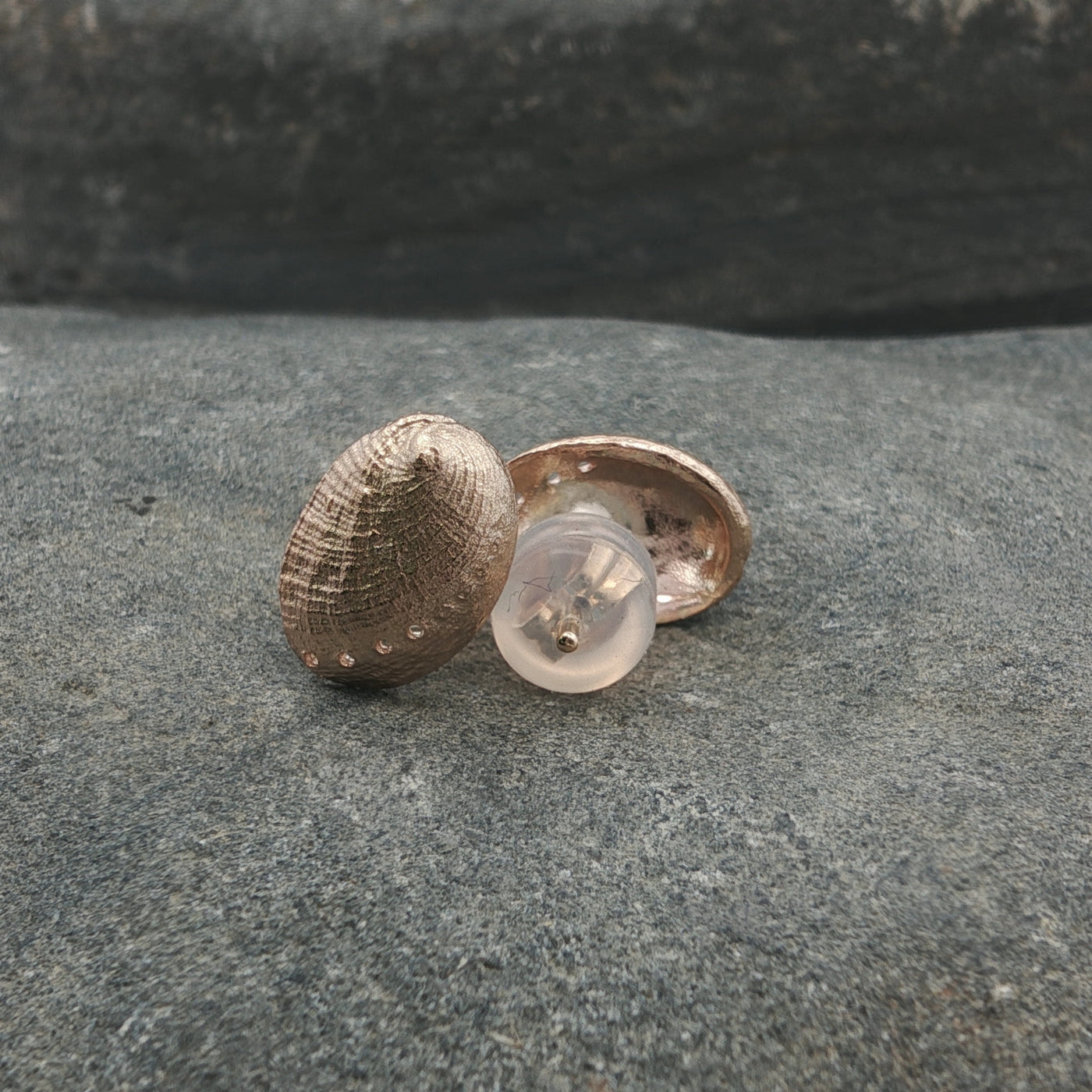 Haliotis Stud Earrings