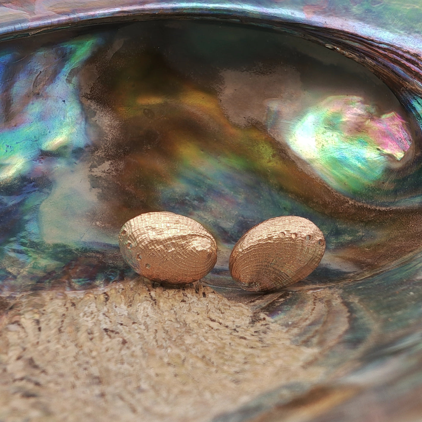 Haliotis Stud Earrings