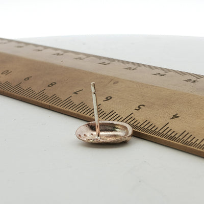 Haliotis Stud Earrings