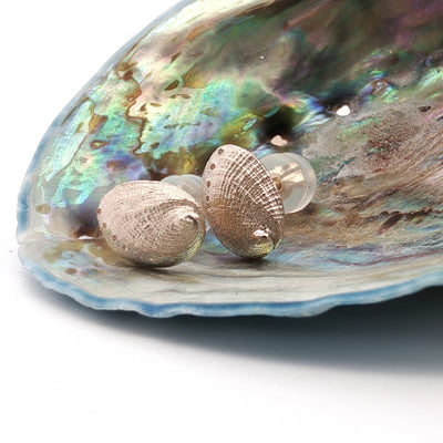 Haliotis Stud Earrings