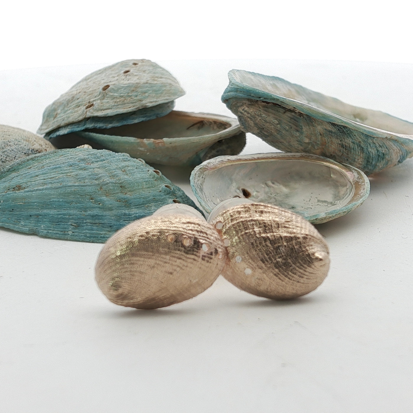 Haliotis Stud Earrings