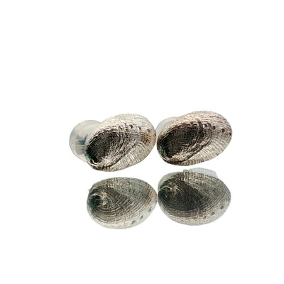 Haliotis Stud Earrings