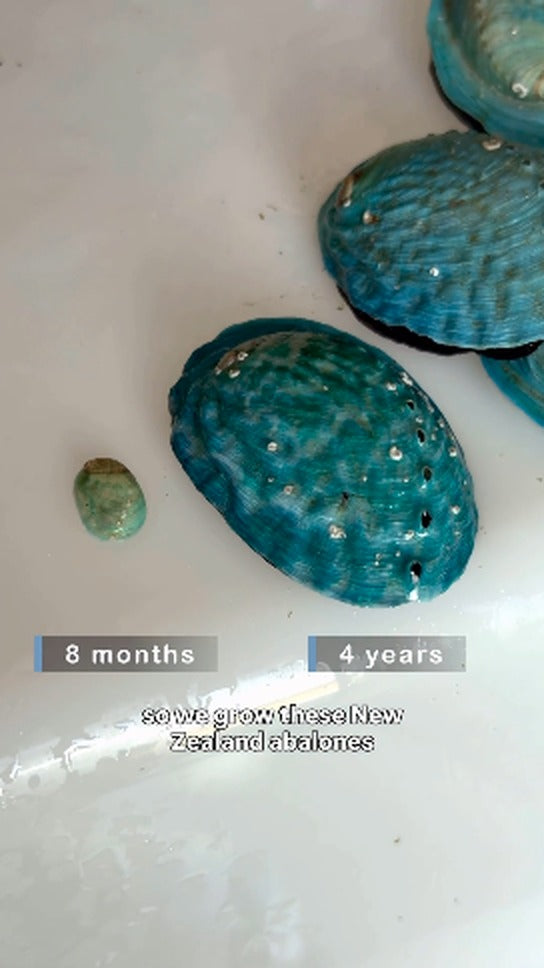 Eight years of growing